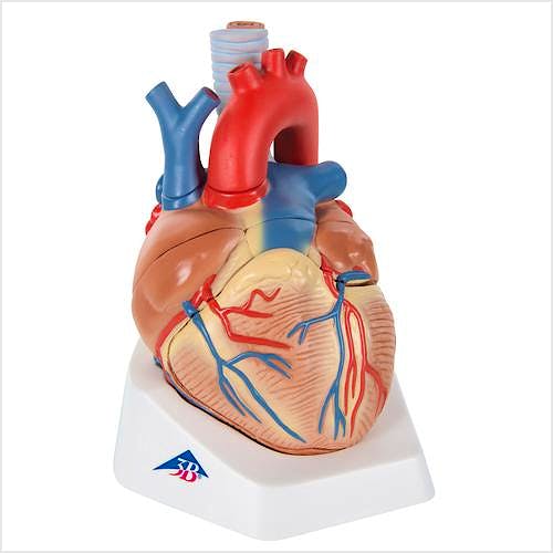Corazón de Lujo, 7 Partes