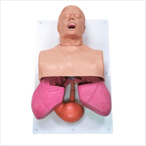 Manejo de Vias Respiratorias en Adultos