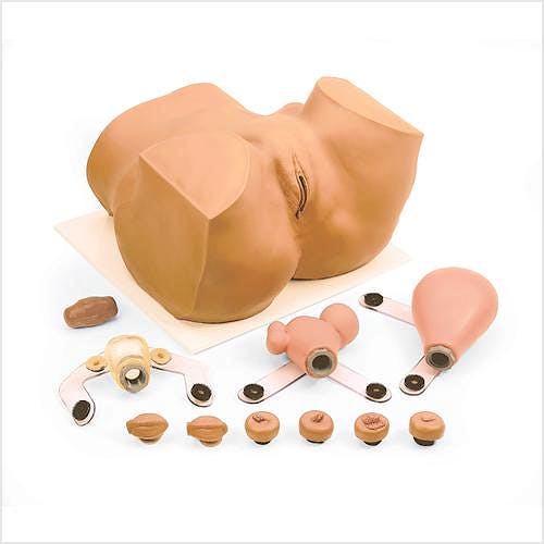 Muñeco para Prácticas en Pelvis