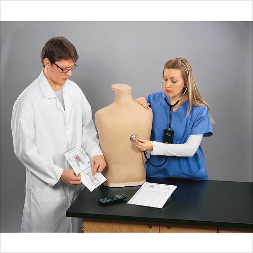 Cuerpo Adicional para el Entrenador de Auscultación y Smartscope™ de Life/Form® (Para Modelo W44119)