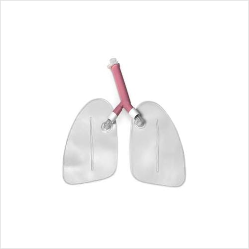 Pulmones para W44018