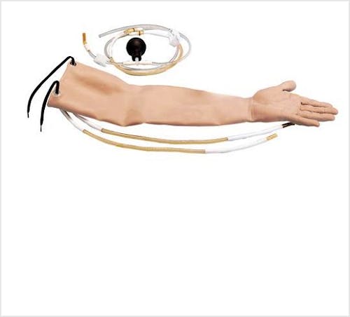 Piel y Arterias para W44022