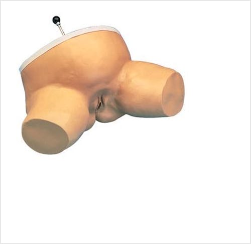 Modelo de Nacimiento