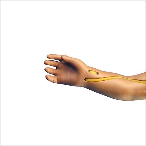 Brazo Inyección Intravenosa