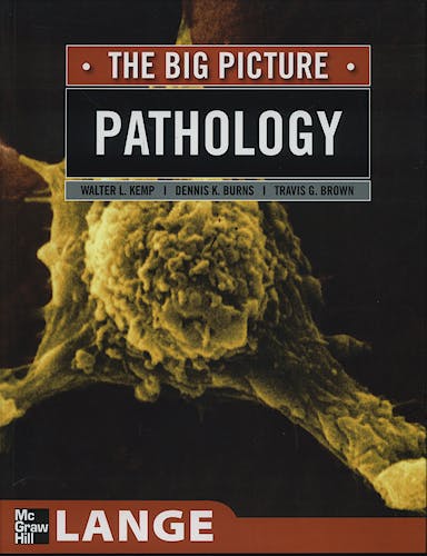 Portada del libro 9780071477482 Pathology: The Big Picture