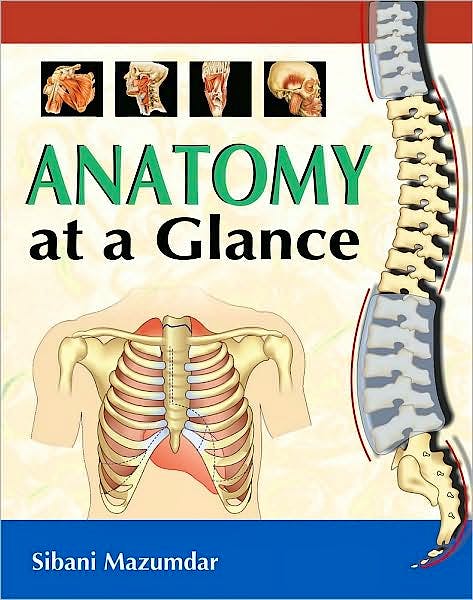 Portada del libro 9780071667203 Anatomy at a Glance