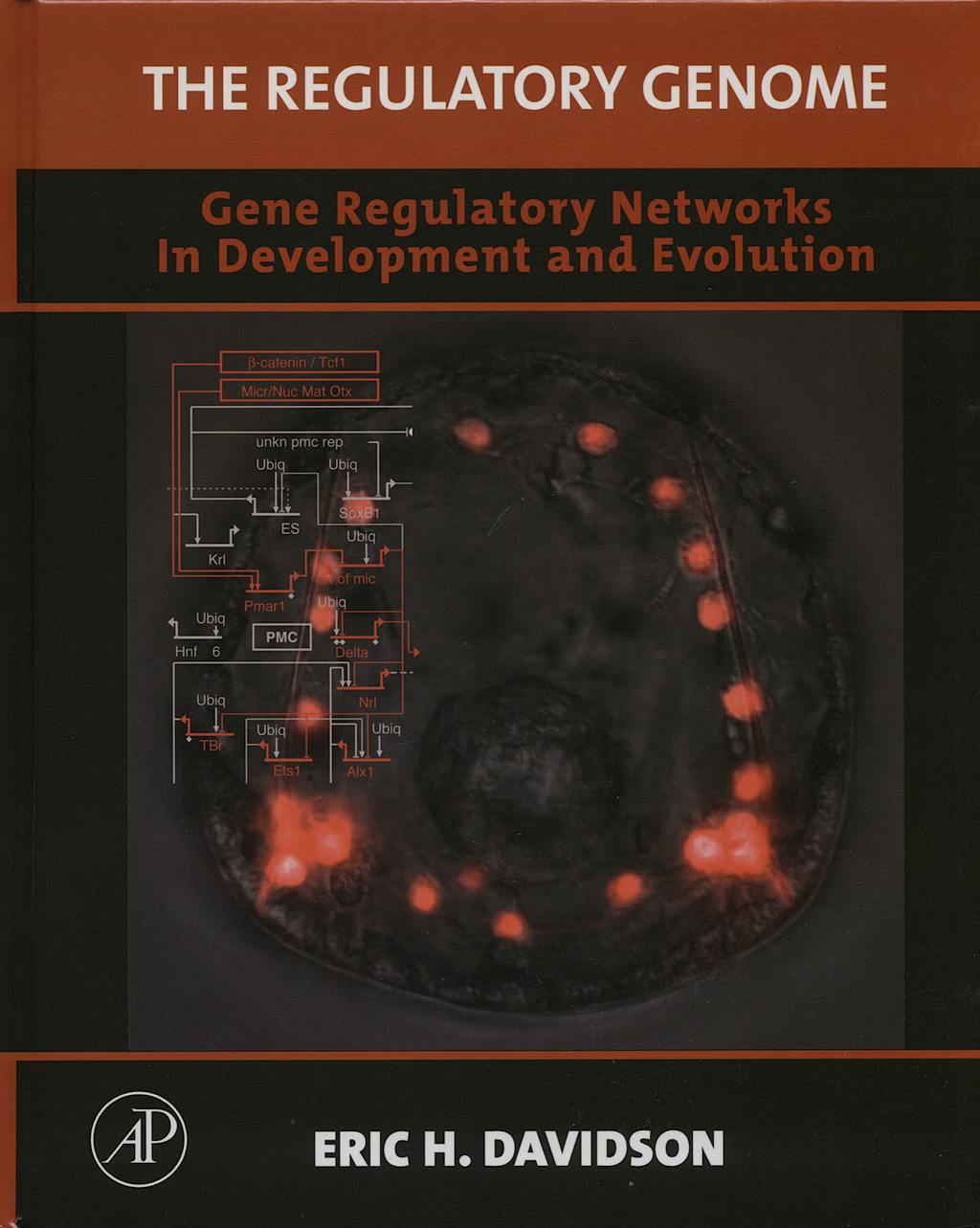 Portada del libro 9780120885633 The Regulatory Genome : Gene Regulatory Networks in Development and Ev