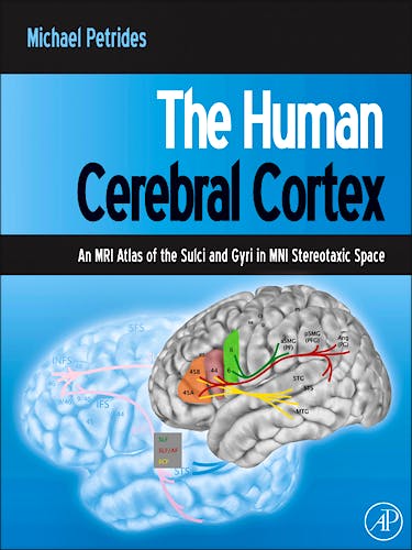 Portada del libro 9780123869388 The Human Cerebral Cortex. an Mri Atlas of the Sulci and Gyri in Mini Stereotaxic Space