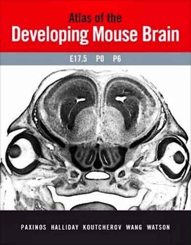 Portada del libro 9780125476225 Atlas of the Developing Mouse Brain at e17.5, P0 and P6