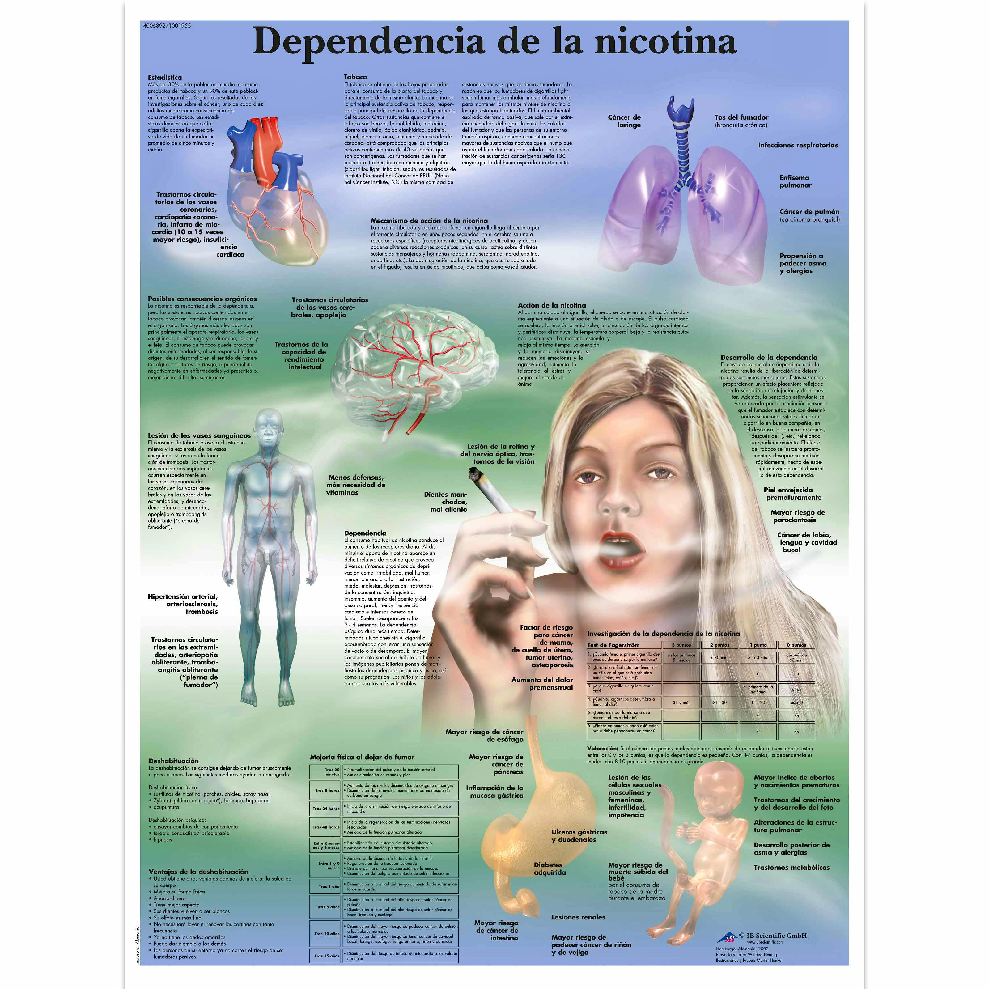Lamina la Dependencia de la Nicotina (formato 50 x 67 cm)