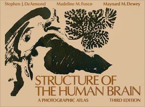 Portada del libro 9780195043570 Structure of the Human Brain. A Photographic Atlas