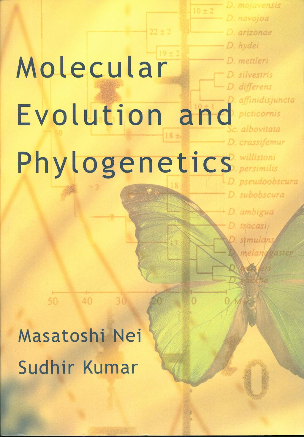 Portada del libro 9780195135855 Molecular Evolution and Phylogenetics