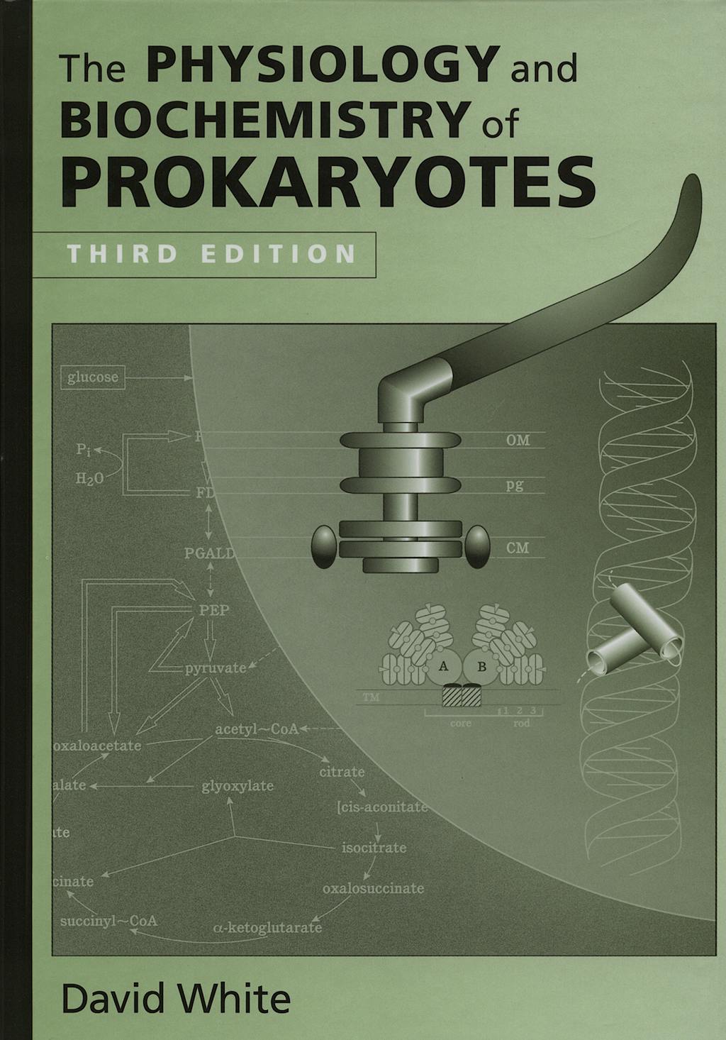 Portada del libro 9780195301687 The Physiology and Biochemistry of Prokaryotes