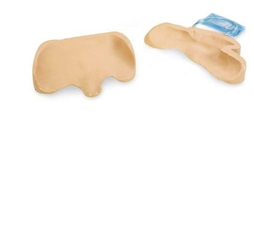 Piel y Venas para W44017