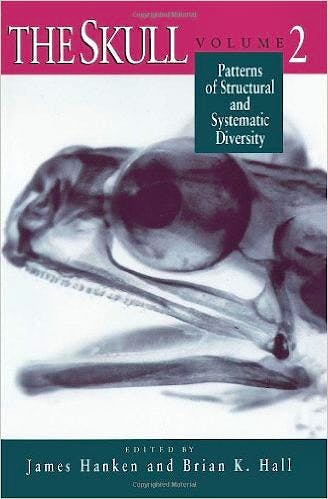 Portada del libro 9780226315706 The Skull, Vol. 2: Patterns of Structural and Systematic Diversity