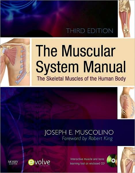Portada del libro 9780323071635 The Muscular System Manual: The Skeletal Muscles of the Human Body (3rd Ed) + Flashcards (2nd Ed), Package