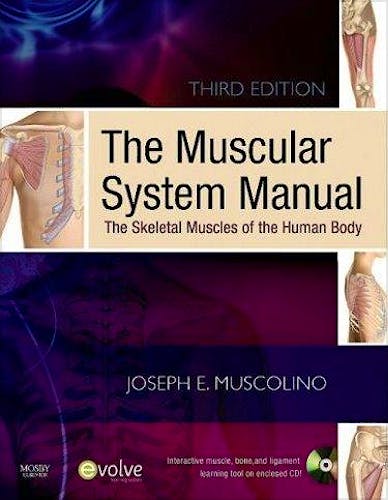 Portada del libro 9780323071659 The Muscular System Manual 3ªed + Text and Coloring Book 2ªed Package. the Skeletal Muscles of the Human Body