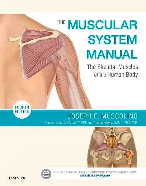 Portada del libro 9780323327701 The Muscular System Manual. The Skeletal Muscles of the Human Body