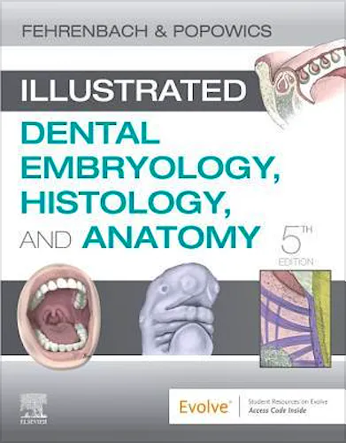 Portada del libro 9780323611077 Illustrated Dental Embryology, Histology, and Anatomy