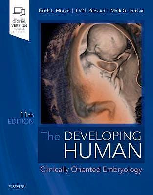 Portada del libro 9780323611541 The Developing Human. Clinically Oriented Embryology