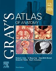 sloan grey anatómiája fogyás fogyás időskorral