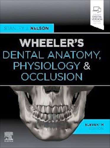 Wheeler's Dental Anatomy, Physiology and Occlusion