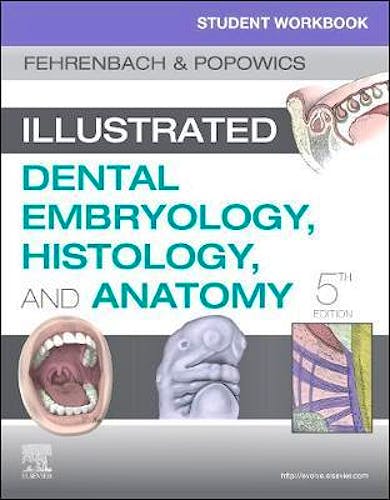 Portada del libro 9780323639903 Student Workbook for Illustrated Dental Embryology, Histology and Anatomy