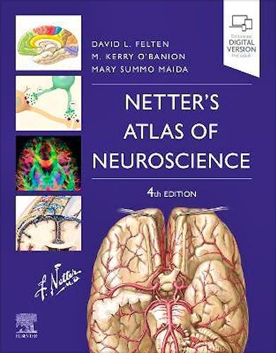 Portada del libro 9780323756549 NETTER's Atlas of Neuroscience