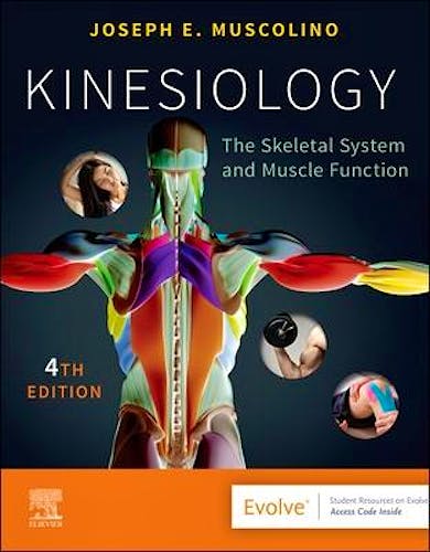 Kinesiology. The Skeletal System and Muscle Function