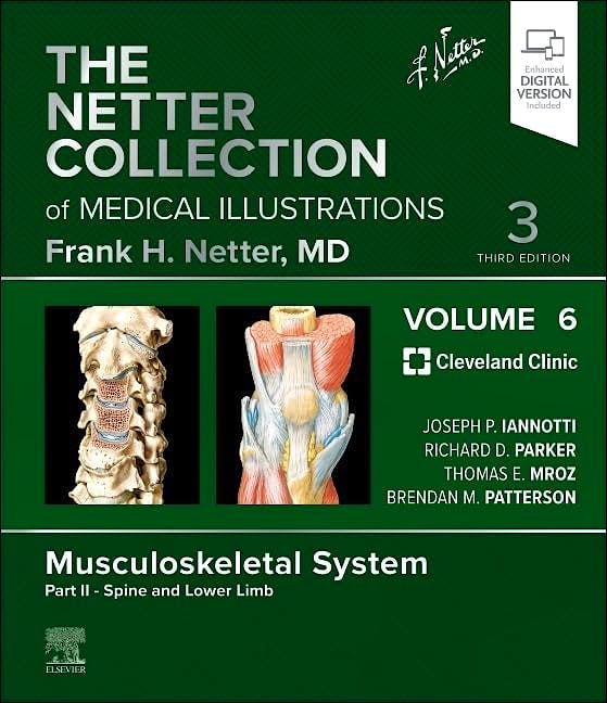 Portada del libro 9780323881289 The NETTER Collection of Medical Illustrations, Vol. 6: Musculoskeletal System - Part II: Spine and Lower Limb