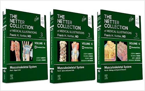 Portada del libro 9780323881876 The NETTER Collection of Medical Illustrations. Musculoskeletal System Package (3 Volume Set)