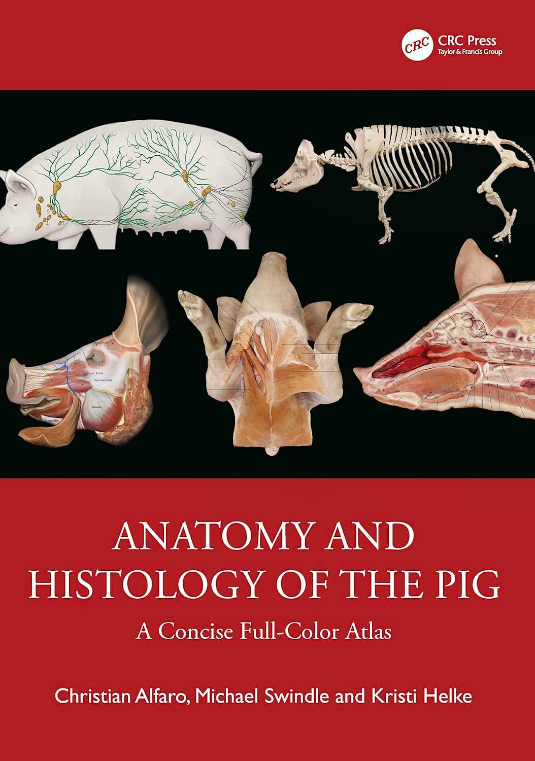 Portada del libro 9780367266615 Anatomy and Histology of the Pig. A Concise Full-Color Atlas