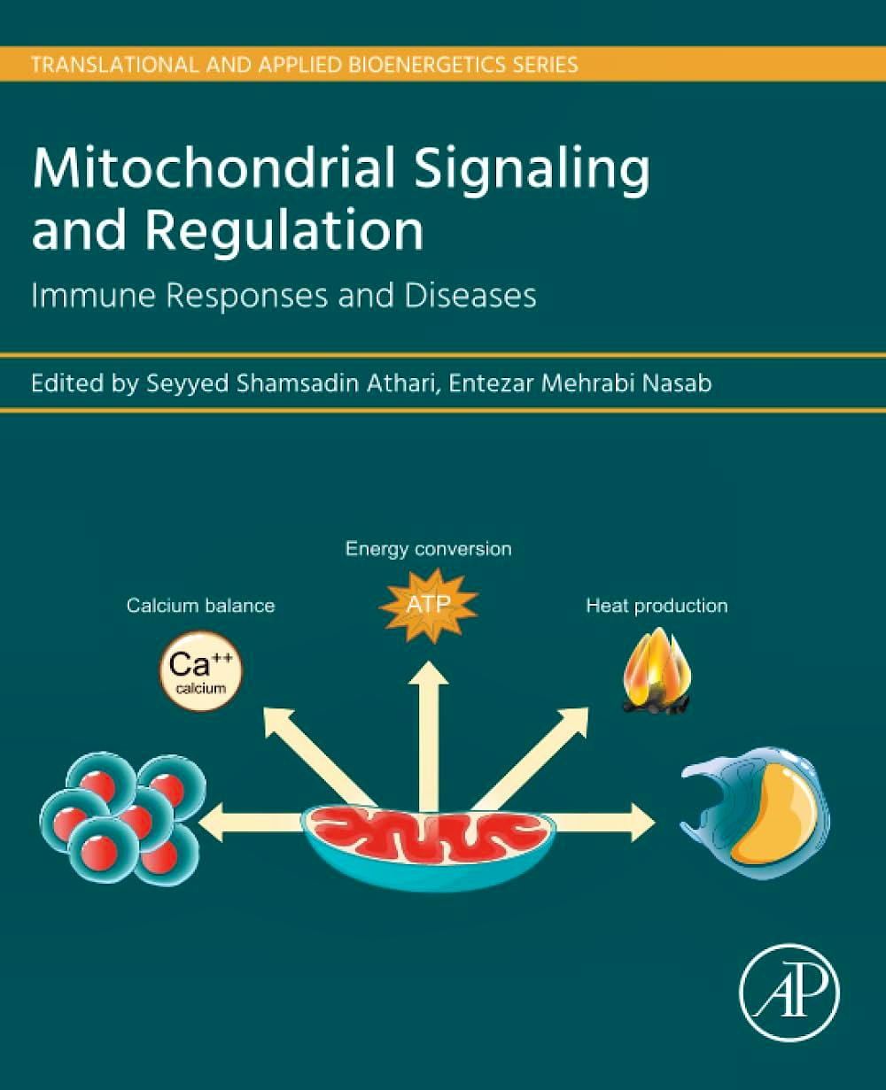 Portada del libro 9780443248368 Mitochondrial Signaling and Regulation. Immune Responses and Diseases