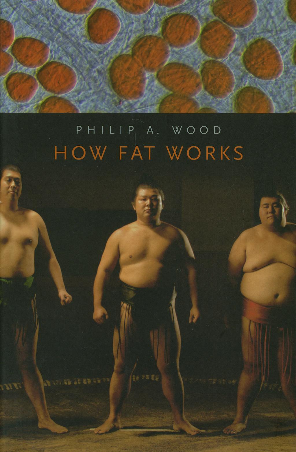 Portada del libro 9780674019478 How Fat Works