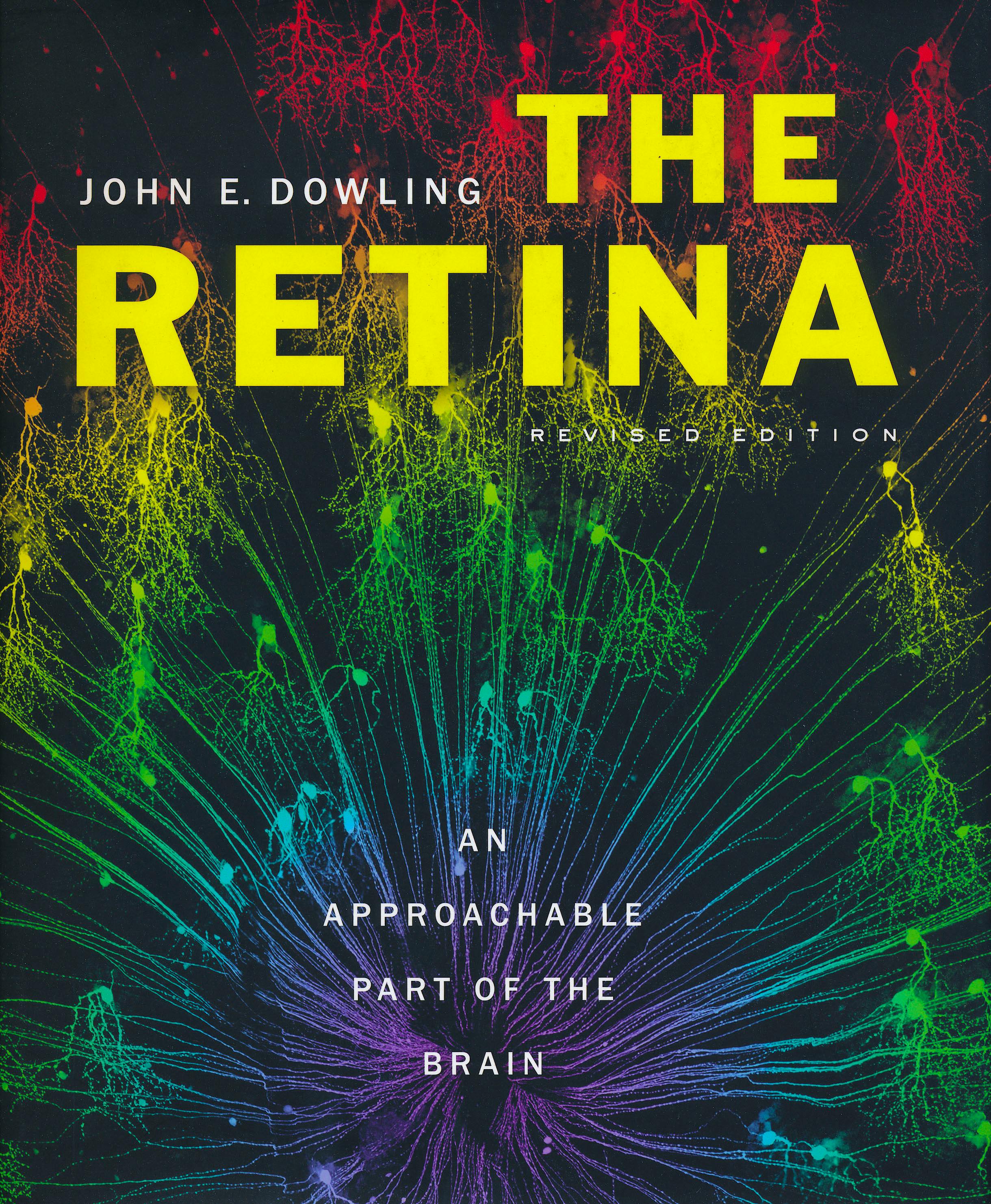 Portada del libro 9780674061545 The Retina: An Approachable Part of the Brain