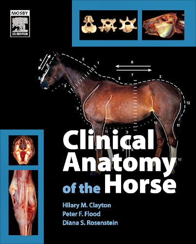 Portada del libro 9780723433026 Clinical Anatomy of the Horse