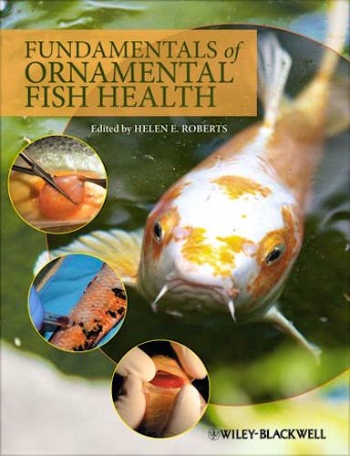 Portada del libro 9780813814018 Fundamentals of Ornamental Fish Health