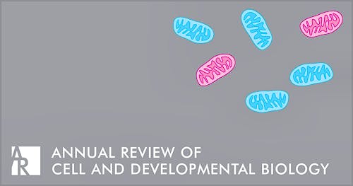 Portada del libro 9780824331337 Annual Review of Cell and Developmental Biology, Vol. 33