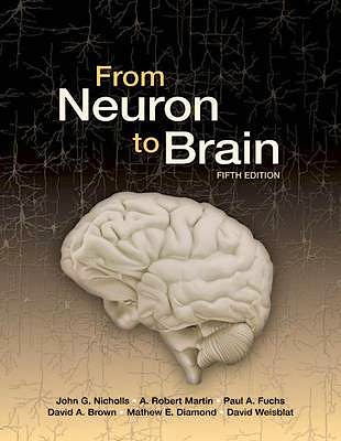 Portada del libro 9780878936090 From Neuron to Brain: A Cellular and Molecular Approach to the Function of the Nervous System