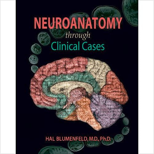 Portada del libro 9780878936137 Neuroanatomy through Clinical Cases