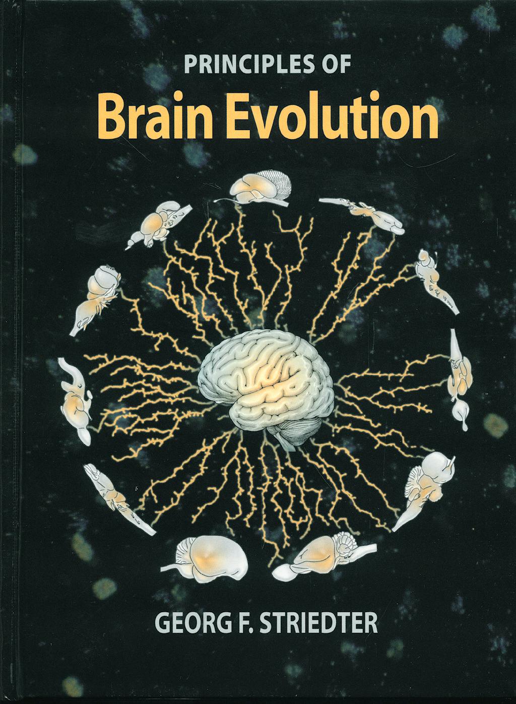 Portada del libro 9780878938209 Principles of Brain Evolution