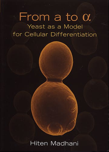 Portada del libro 9780879697389 From a to Alpha. Yeast as a Model for Cellular Differentiation