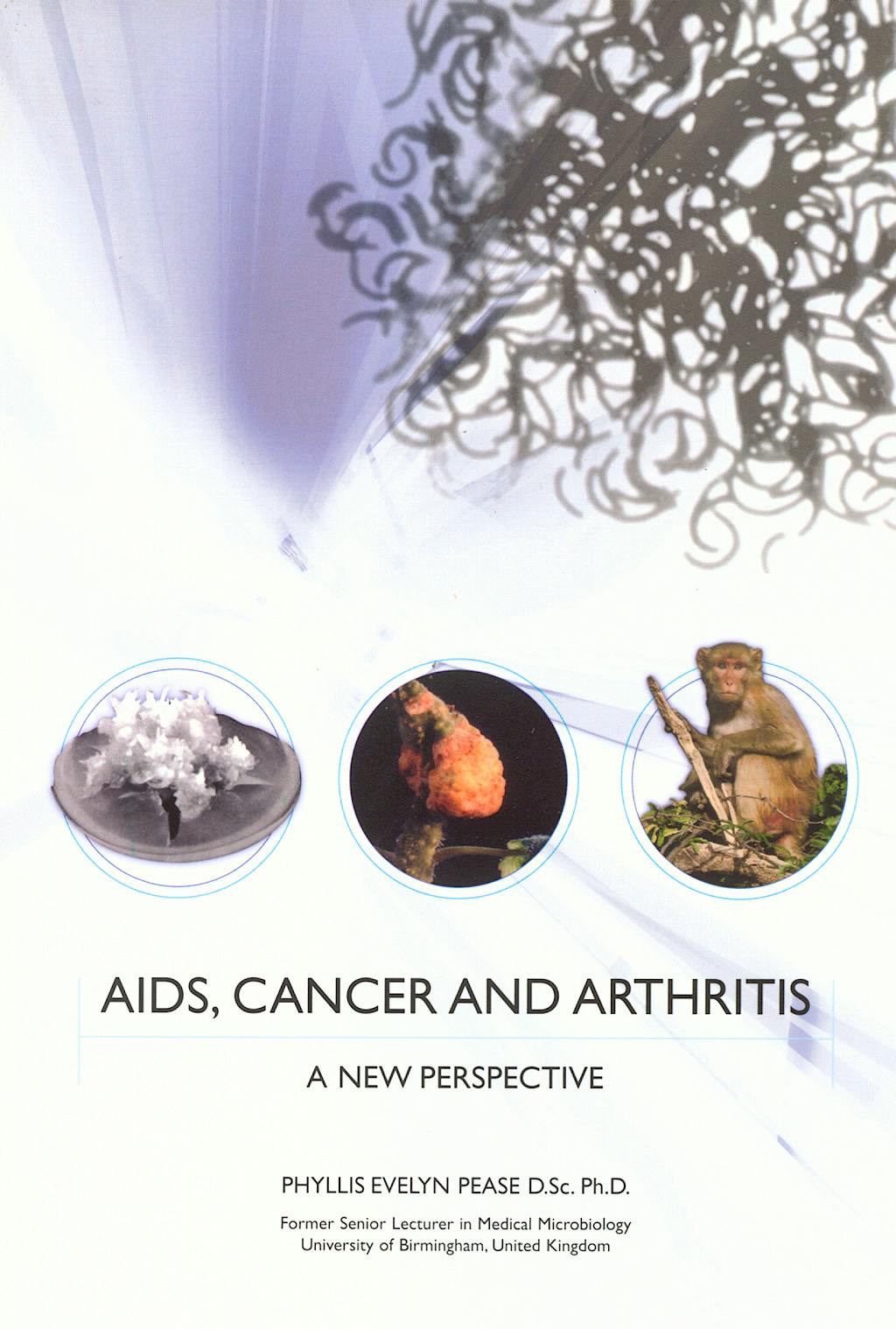 Portada del libro 9780955056703 Aids, Cancer and Arthritis. a New Perspective