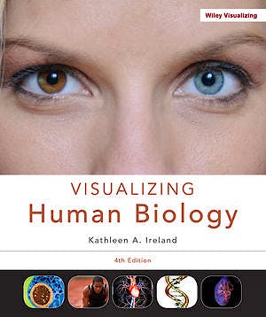 Portada del libro 9781118169872 Visualizing Human Biology