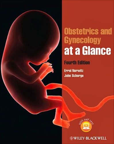 Portada del libro 9781118341735 Obstetrics and Gynecology at a Glance
