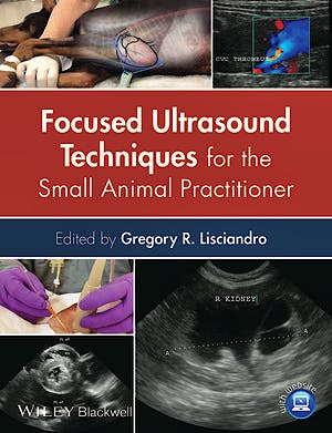 Portada del libro 9781118369593 Focused Ultrasound Techniques for the Small Animal Practitioner