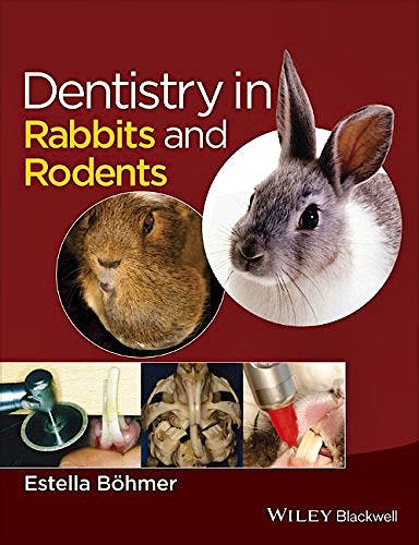 Portada del libro 9781118802540 Dentistry in Rabbits and Rodents