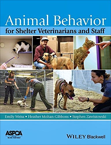 Animal Behavior for Shelter Veterinarians and Staff