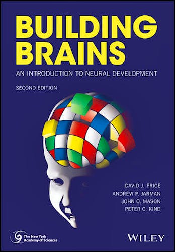 Portada del libro 9781119293880 Building Brains. An Introduction to Neural Development