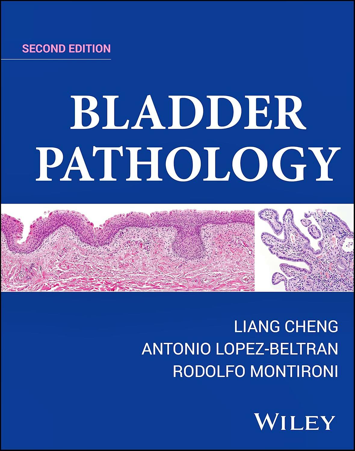 Portada del libro 9781119707554 Bladder Pathology